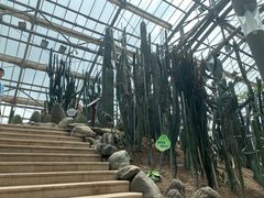 -南山植物园