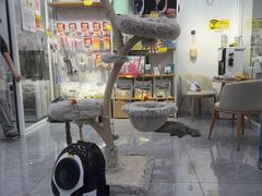 -爱洗澡的猫(天河路店)