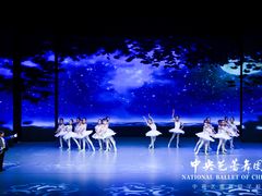 -中央芭蕾舞团·中芭艺蕾(酒仙桥明星校区)