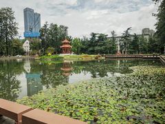 -四川大学博物馆