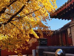 -北京石刻艺术博物馆(五塔寺)