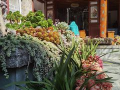 -寂照庵