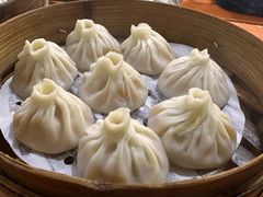 -莱莱小笼·乔艾