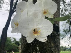-瑞穗牧场