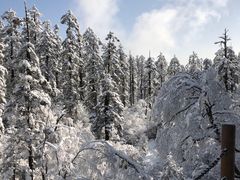 -瓦屋山景区