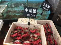 -莲花公园煎蟹(总店)
