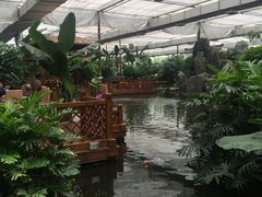 -汤山翠谷生态餐厅