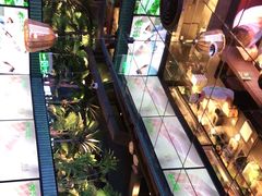 -大头椰·椰子鸡火锅(南宁万象城店)