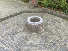 -上海佘山国家森林公园天马山园