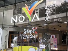 -岭南站NOVA