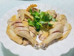 白切土鸡-迈姨·潮州菜(麓湖公园店)