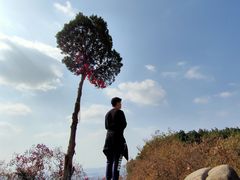 -灵岩山风景区