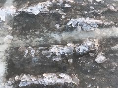 -绿野森林乐园冰雪季