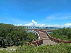 -宝安西湾红树林湿地公园