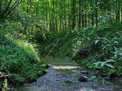 -桤木河湿地公园