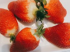 -半岛听涛蒸汽海鲜自助(K11店)