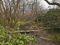 -西湖风景区十里琅珰-五云山