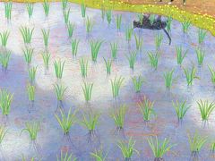 -八哥美术·成人美术画室(总校区)