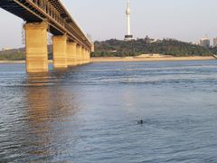 -武汉两江游览·夜游长江(汉阳门码头)