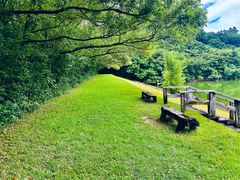 -雁南飞茶田景区