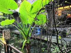 -大妙火锅·非物质文化遗产(东湖公园店)