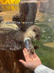 -Zoolung Zoolung动物主题公园(海信广场店)