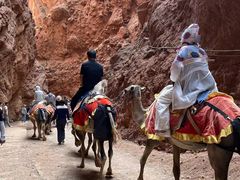 -天山神秘大峡谷