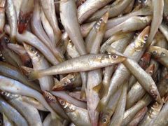 长青路覃记海鲜炒菜烧烤(四川重庆)-覃记海鲜美食餐厅