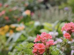 -白鹭湾湿地公园