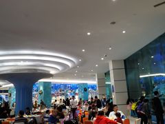 大堂-帝企鹅自助餐厅•儿童岛•真企鹅(长隆企鹅酒店)