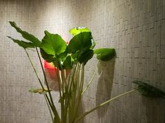 -阿五黄河大鲤鱼(纬三路店)