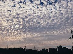 -同济大学(嘉定校区)