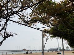 -碧海金沙