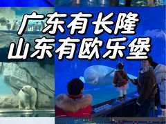 -泉城欧乐堡海洋极地世界
