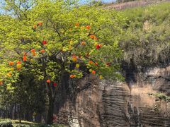 -飞天山旅游区