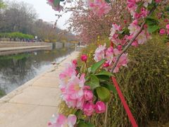 -元大都城垣遗址公园