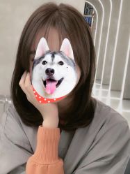 -形象公社