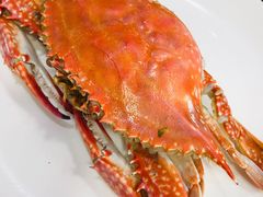 -小铜锣湾海鲜家常菜馆(河西店)