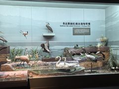 -大庆市博物馆