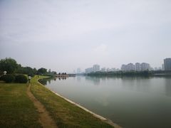 -灞河西岸滨河公园
