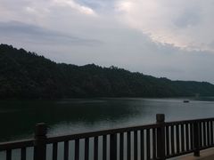 四楼露台-千岛湖品鱼馆(钓鱼岛店)