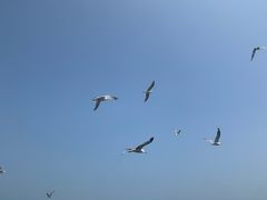 -刘公岛景区