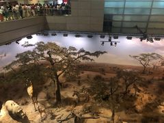 -光明邨大酒家(淮海路店)