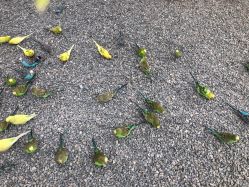 -萌宠亲子动物乐园(槐房万达店)