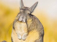-布丁酒店(苏州唯亭青剑湖商业中心店)