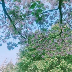 -中谷小南国花园酒店·宴会厅