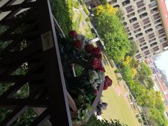 -厦门帝元维多利亚大酒店(环岛路黄厝海滩店)