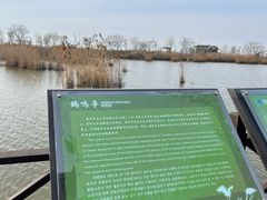 -盐城丹顶鹤湿地生态旅游区
