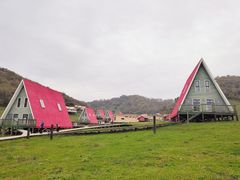 -关山草原