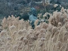 -郭守敬纪念馆